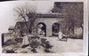 Image03~6.jpg